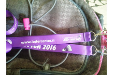 Priiprave Kostanjevina 2016